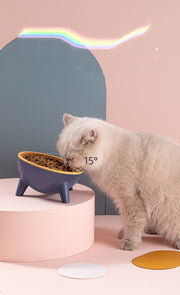 Cat Dog Bowl With Stand Pet Feeding Food Bowls