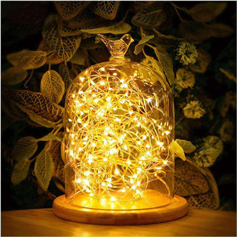 AMZER Fairy String Light 50 LED 5m Waterproof AA Battery Operated