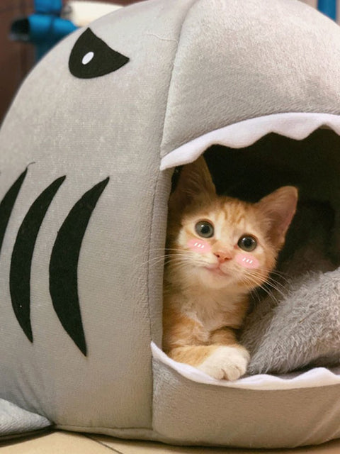 Shark Attack Pet Bed