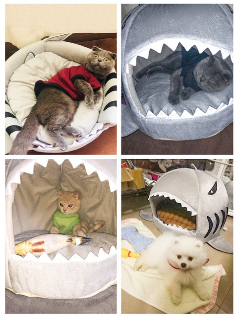 Shark Attack Pet Bed