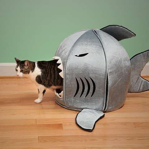 Shark Attack Pet Bed