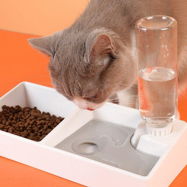 Cat Bowl Dog Water Feeder Bowl Cat Kitten Drinking Fountain Food Dish