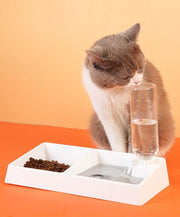 Cat Bowl Dog Water Feeder Bowl Cat Kitten Drinking Fountain Food Dish